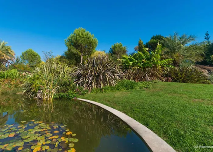 Sr300-012 Appt 2 Pieces Mezzanine 4 Personnes St Raphael