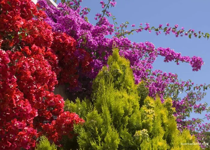 Апартаменты Sr300-012 Appt 2 Pieces Mezzanine 4 Personnes St Raphael Сен-Рафаэль